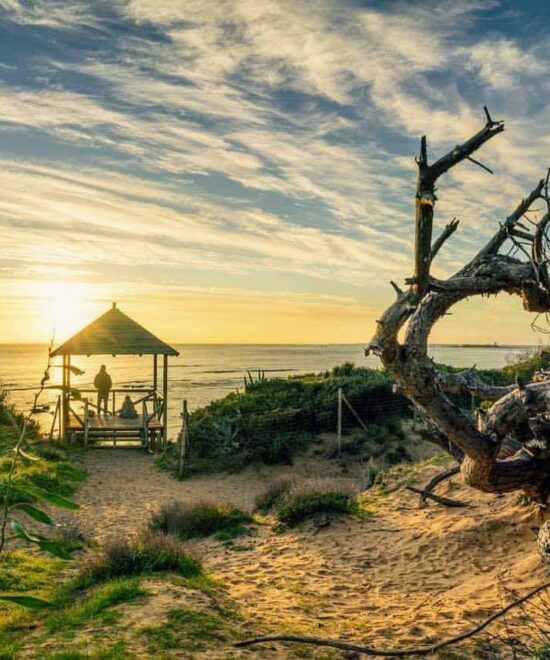 Discovery Islands